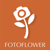    (fotoflower)