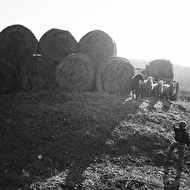 web 2014 family 094.jpg