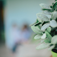 web (118 of 123).jpg