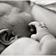 IMG_9997 copyweb.jpg