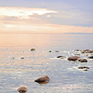 VZD_1104 copylogo.jpg