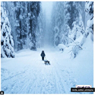 ���� ��������, ����� @frauvicky