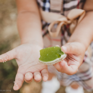 HappySummer100814_0547_for web.jpg