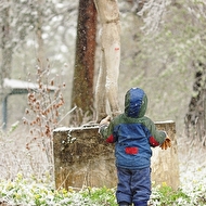 11 ����, ��� � ���� �����?? 