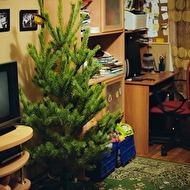 DSC_7608_����� ������.jpg