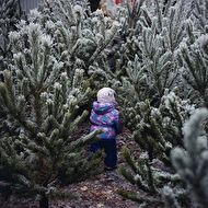 DSC_7531_����� ������.jpg