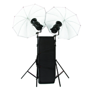 01 bowerns genimi.jpg