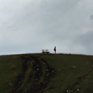 @bicfp_editor_sinitsyna