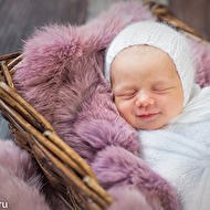 �������� �������������