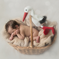 Nastia (1 of 1)-36.jpg