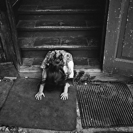 Demidovy web 045.jpg