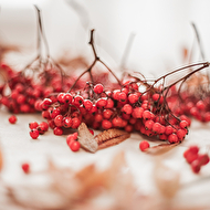 ��������� ����