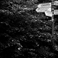 Vanya Masha Tima Marusya web 248.jpg