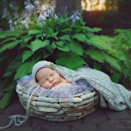 DSC_7827 copylogo.jpg