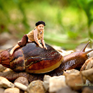 ��������� �� ������.jpg