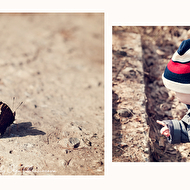 Коллаж1 веб.jpg