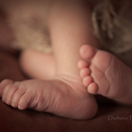 ������ - 6 ���.jpg