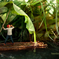 ��������� �� �����.jpg