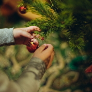 DSC_7685_����� ������.jpg