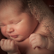 ������ - 5 ���.jpg