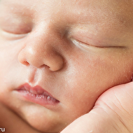 ���������� �������