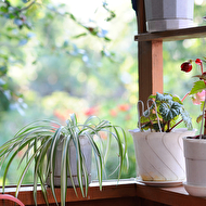 Oleg's summer_29_web.jpg