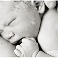 IMG_9888 copyweb.jpg