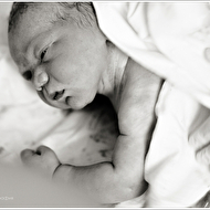 ���� ����� ����� ��������