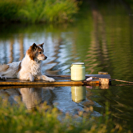 01 Kvashina 2013 veb9.jpg