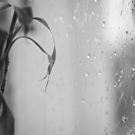 1 3--2014-(29)-21.jpg