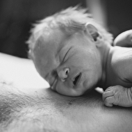 ���� (3 of 24).jpg