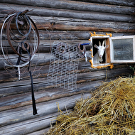 Oleg's summer_57_web.jpg