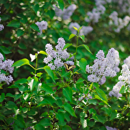 creative life_512.jpg