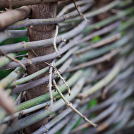 creative life_136.jpg