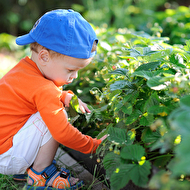 Oleg's summer_27_web.jpg