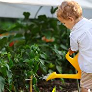 Oleg's summer_56_web.jpg