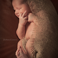 ������ 7 ���.jpg