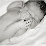 IMG_0149 copyweb.jpg