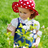 21-05-2012-web (2).jpg