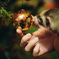 DSC_7757_����� ������.jpg