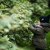 photo_print-12 copy.jpg