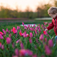 Oleg's summer_11_web.jpg