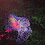 DSC_5398 copylogo.jpg