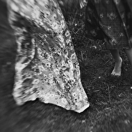 �������� 2016-170.JPG