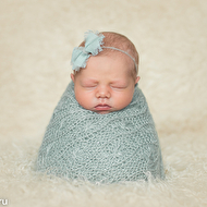 ���������� ���������