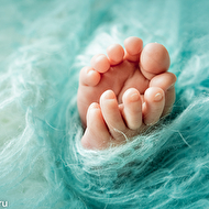 ���������� �������