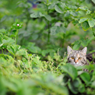 Oleg's summer_45_web.jpg