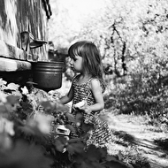 Demidovy web 089.jpg