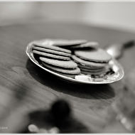 IMG_9640 copyweb.jpg