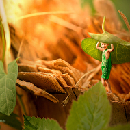 ��������� � ��������.jpg